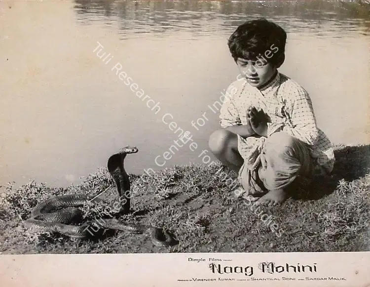 Kumar, Virendra (Producer), Naag Mohini, 1963 | Lobby Card | CinemaEducation | 00820826
