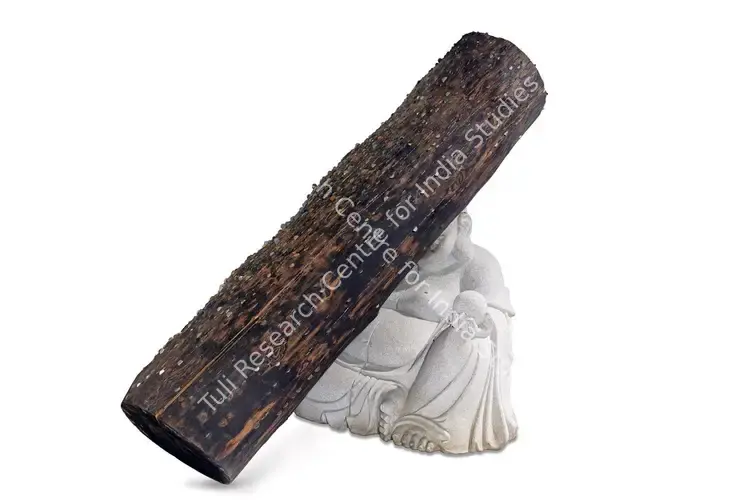 Tallur, L.N. (Artist). Chromatophobia. Wood, two granite sculptures & nailed coins, 2010 | Sculpture | FineArts | 00352373