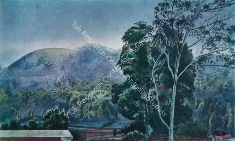 Venkatappa (Artist). Landscape, Ootacamund. 1917 | Lalit Kala Contemporary, June 1962 | Painting | FineArts | 00534339