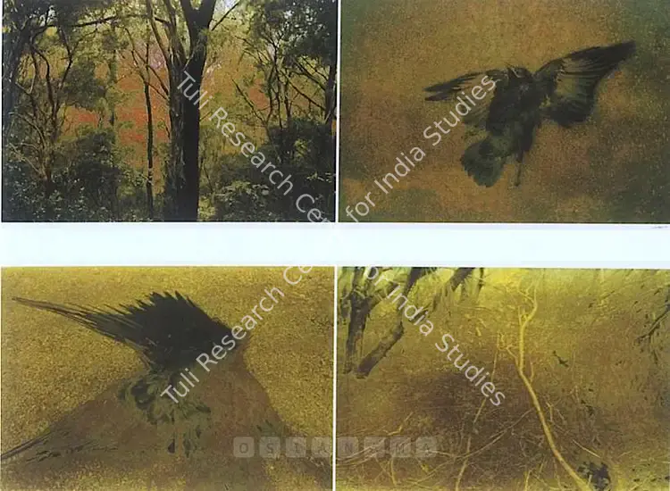 Bhaskar, Binu (Artist). Without/Bush # 1; Without/Bush #2. Digital print on archival paper, 1996-2007 | Print | FineArts | 00576069