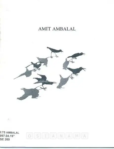 Ambalal, Amit (Artist). Amit Ambalal, 1997 | Solo Exhibition Catalogue | 00882020
