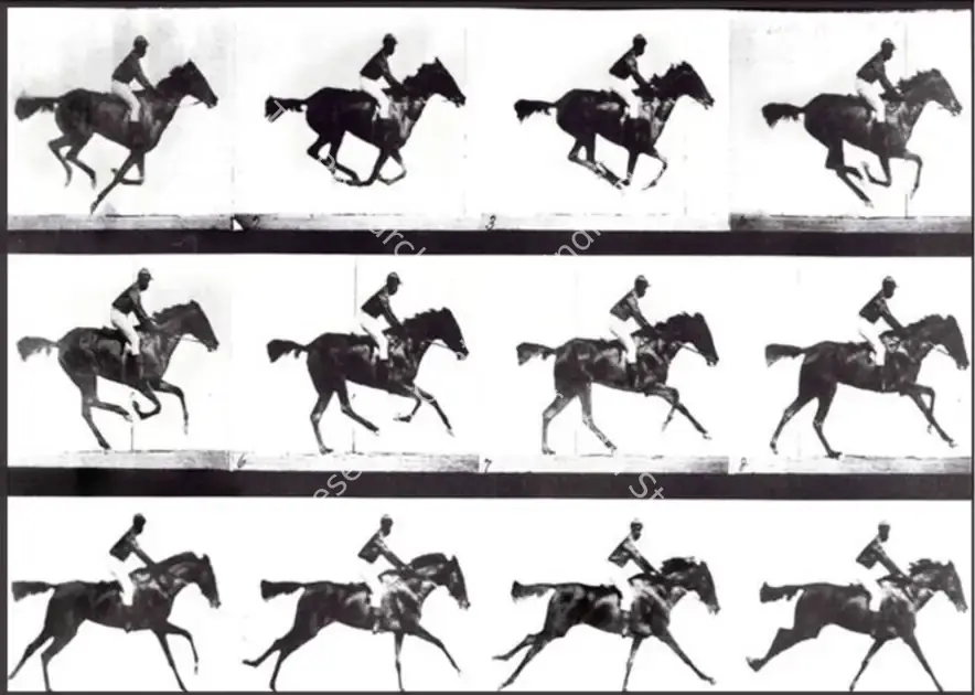 Muybridge, Eadweard (Director), The Horse in Motion, 1878 | Photographic Still | CinemaEducation | 00457671