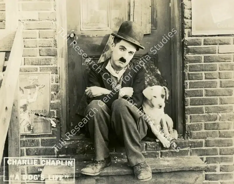 Totheroh, Roland (Cinematographer), A Dog's Life, 1918 | Lobby Card | CinemaEducation | 00794970