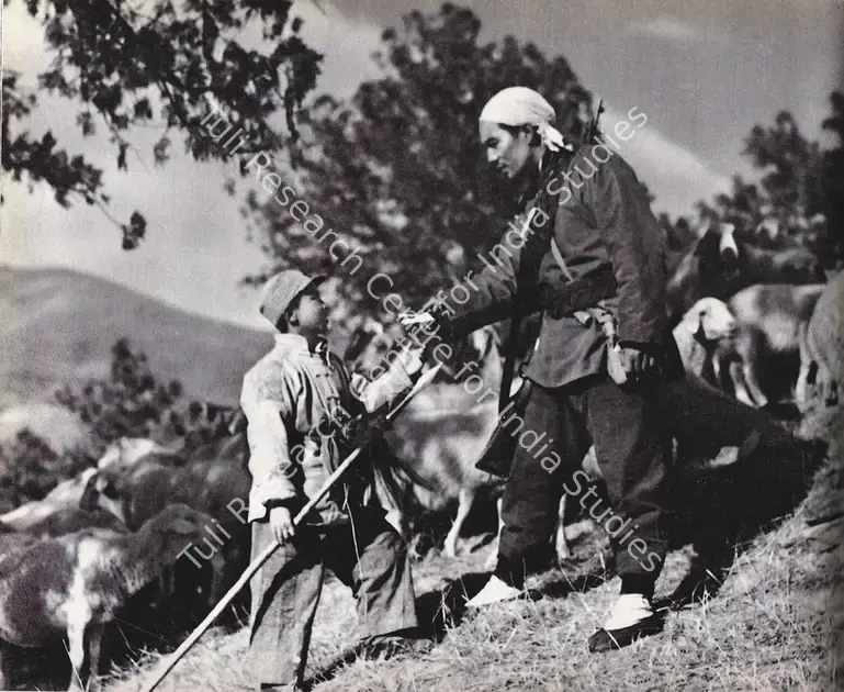 Shi, Hui (Director), The Letter with Feathers, 1954 | Photographic Still | CinemaEducation | 00846644
