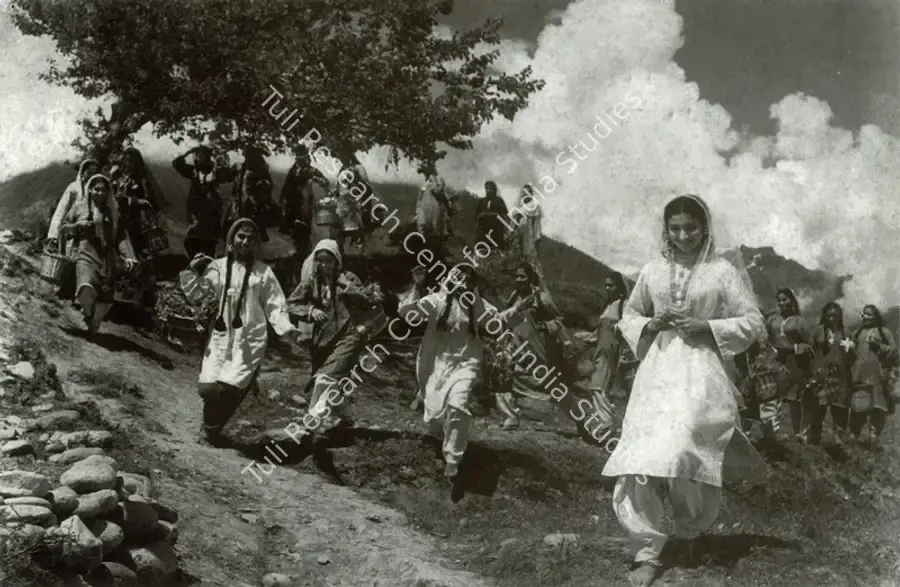 Samanta, Shakti (Producer), Kashmir Ki Kali, 1964 | Photographic Still, Marg, June 2013 | CinemaEducation | 00512674